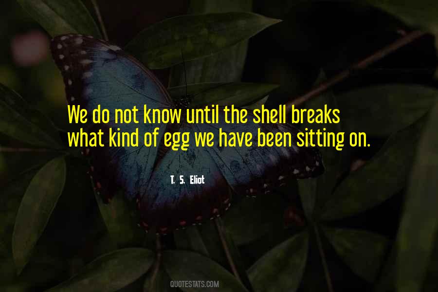 Not Sitting Quotes #76521