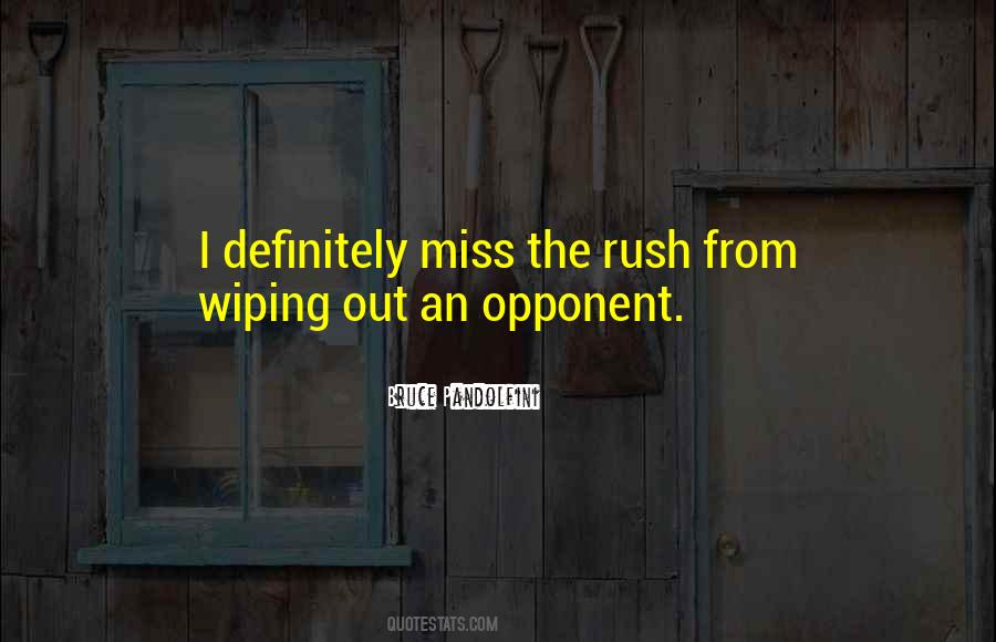 Quotes About Wiping Out #1152290