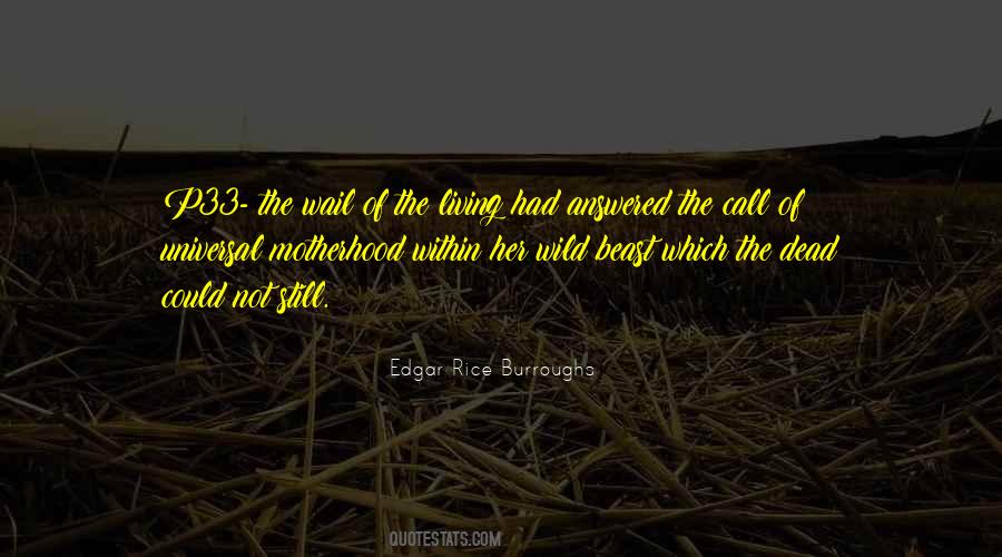 Quotes About P33 #544393