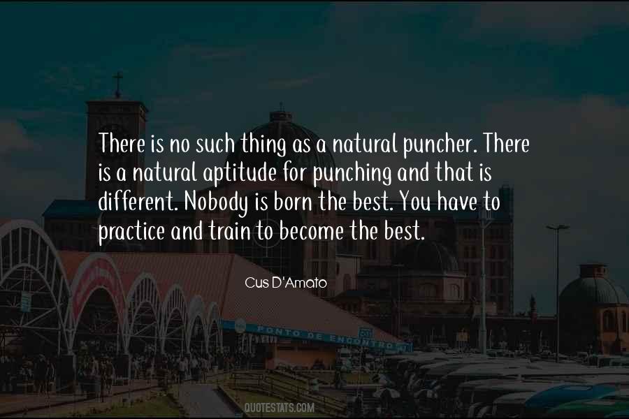 Quotes About Punching #1018