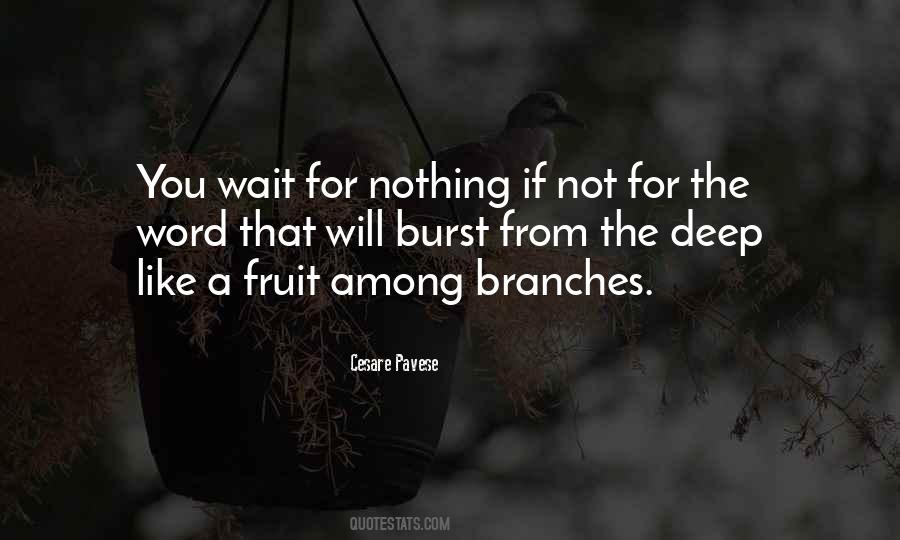 Quotes About Branches #1277941