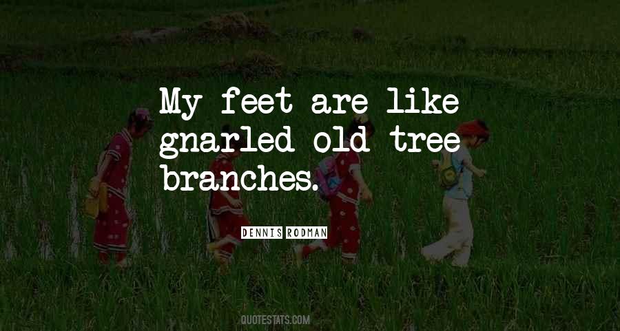 Quotes About Branches #1289189