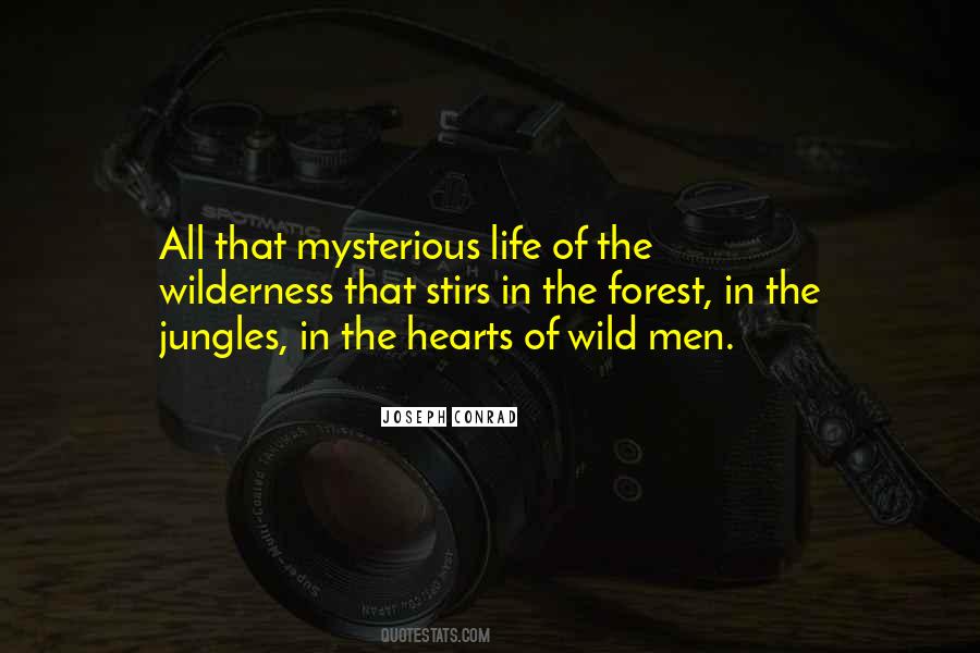 Mysterious Men Quotes #695120
