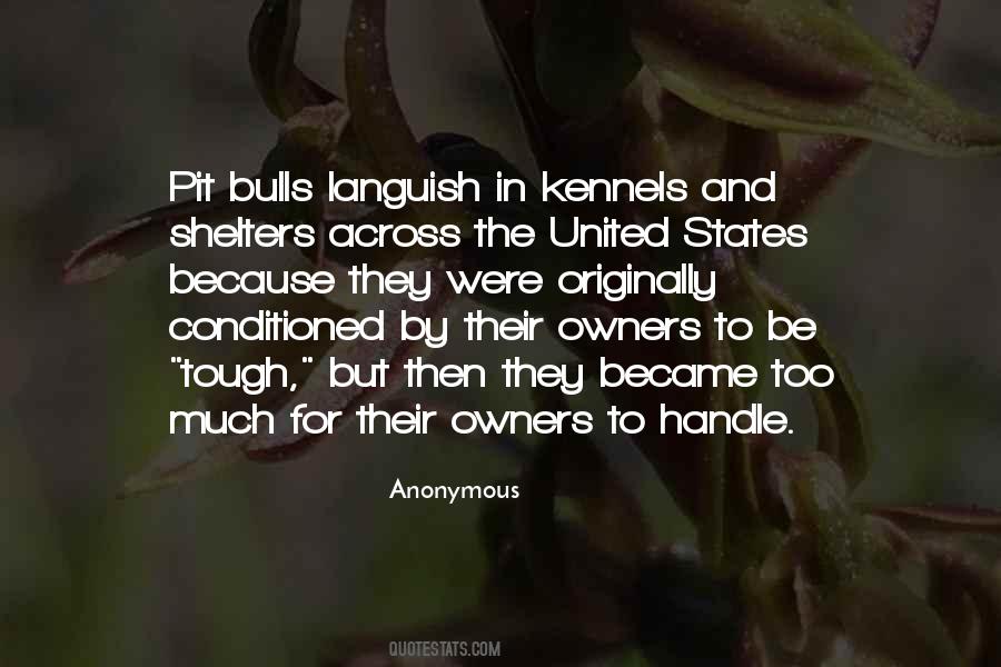 Quotes About Pit Bulls #267922