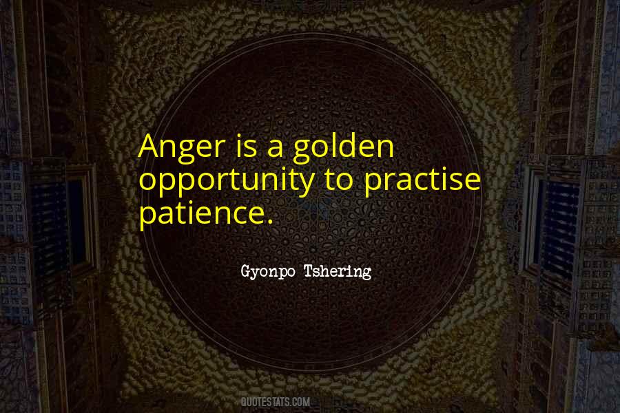 Quotes About Patience And Anger #337862