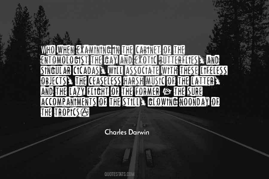 Lifeless Things Quotes #314083