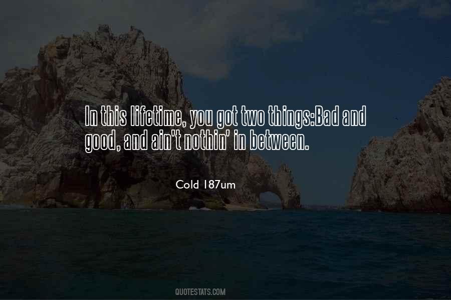 Quotes About Web Analytics #1495647