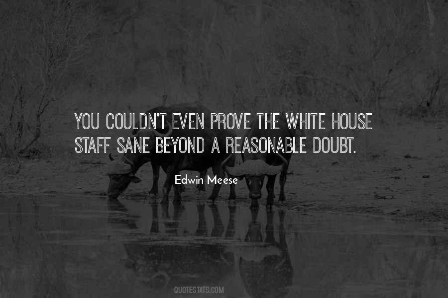 Quotes About Beyond A Reasonable Doubt #361024