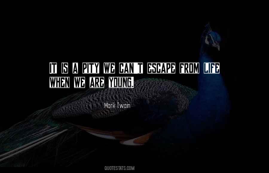 Quotes About Life Mark Twain #158451