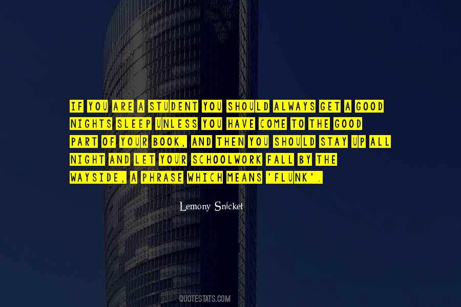 Quotes About A Camera Flash #1606392