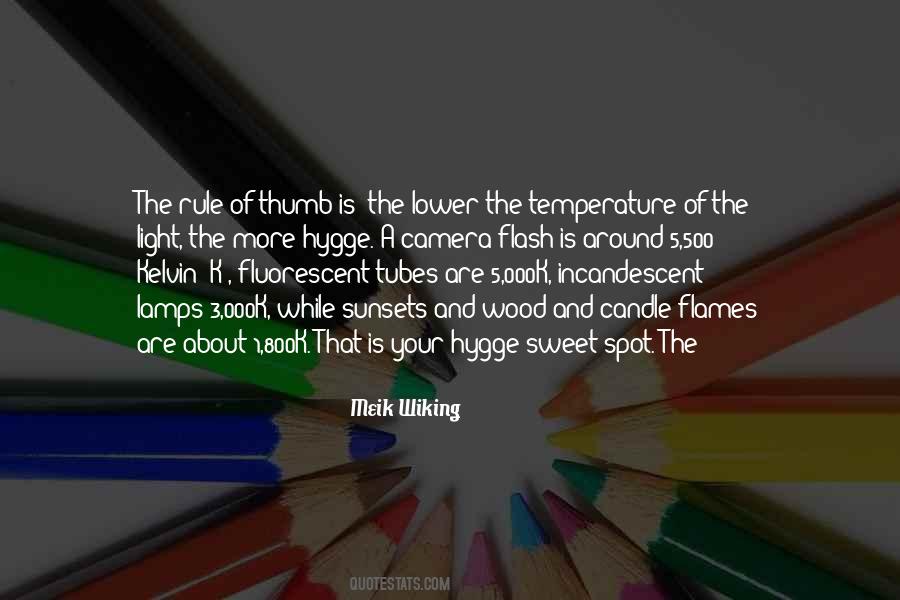 Quotes About A Camera Flash #570431
