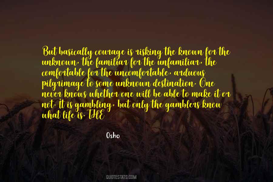 Quotes About Risking Your Life #1865788