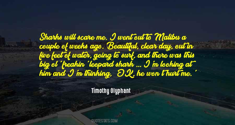 Looking Couple Quotes #1133009