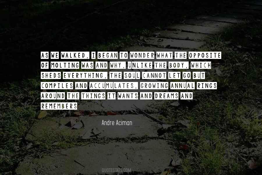 Let Go Of Things Quotes #283845