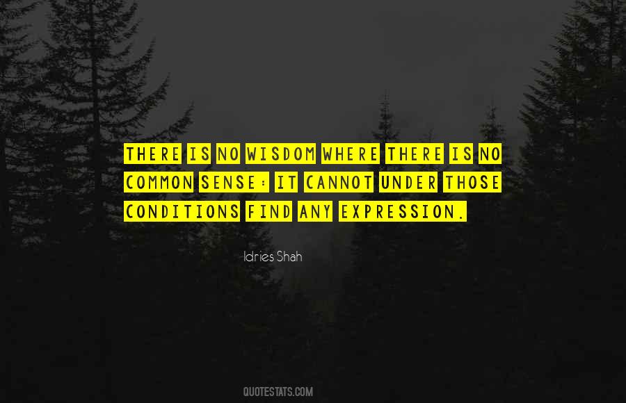 Quotes About Common Sense And Wisdom #1445549