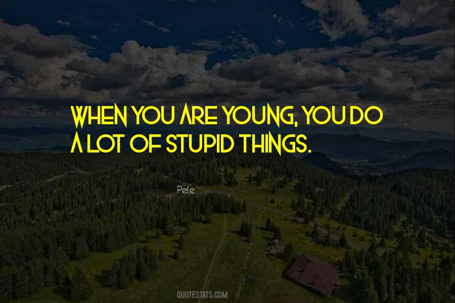 Quotes About Stupid #1776065