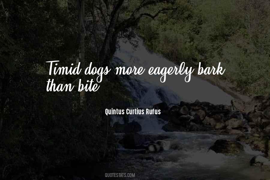 Quotes About All Bark No Bite #559155