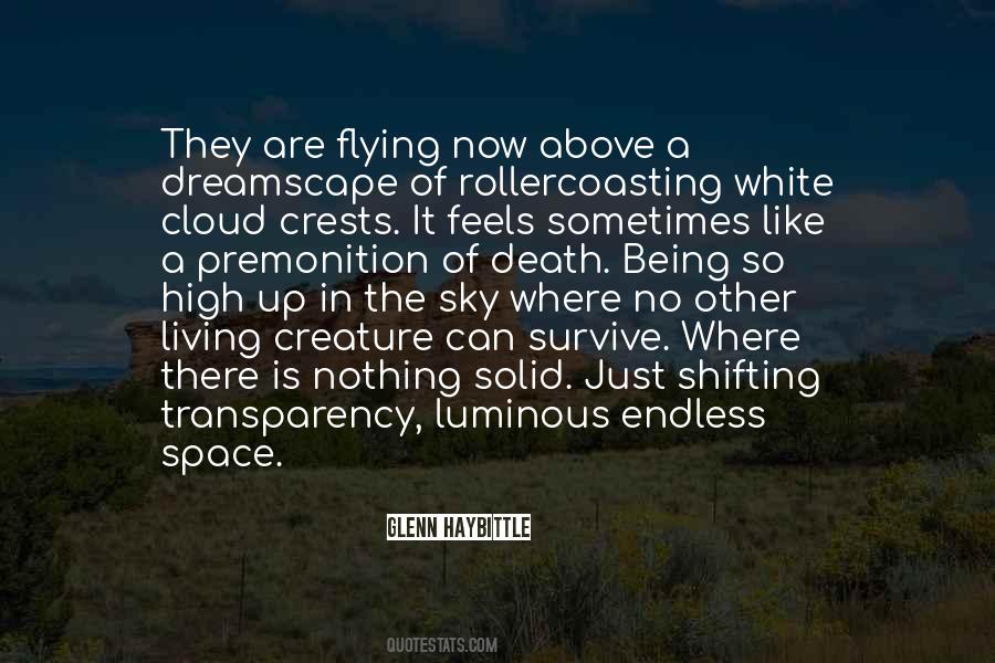 Quotes About High In The Sky #489006