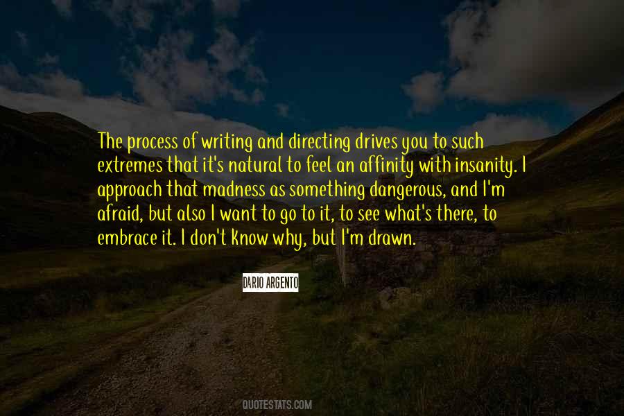 Quotes About The Process Of Writing #670013