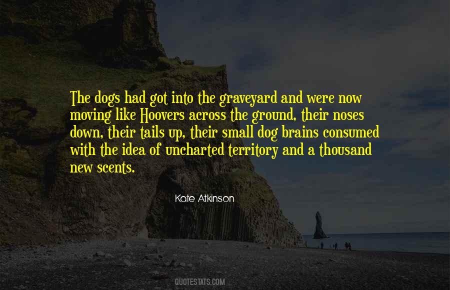 Dog Noses Quotes #1025824