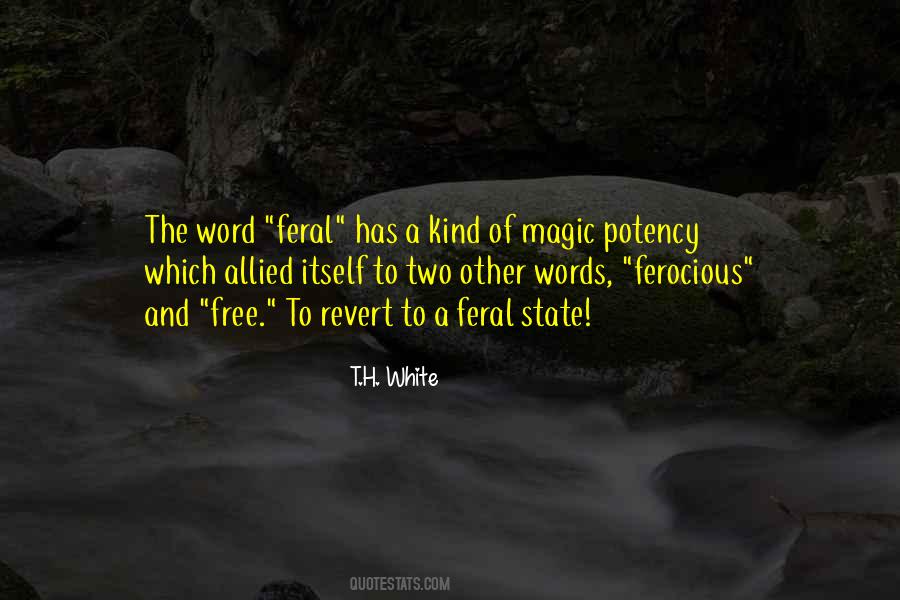 Magic Word Quotes #144148