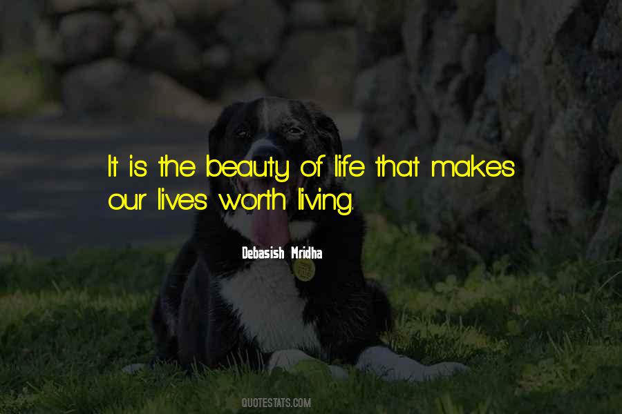 Beauty Of Our Lives Quotes #120350