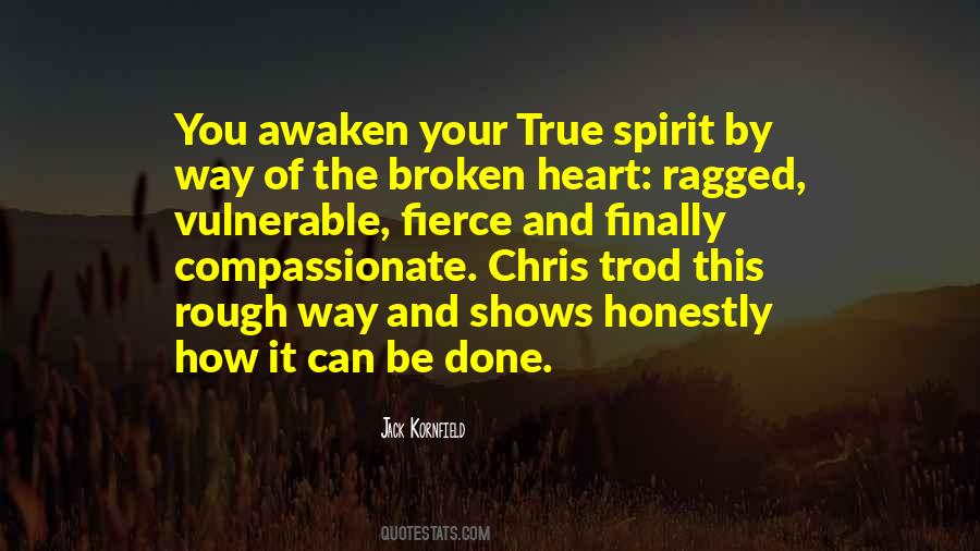 Quotes About Broken Spirit #328041