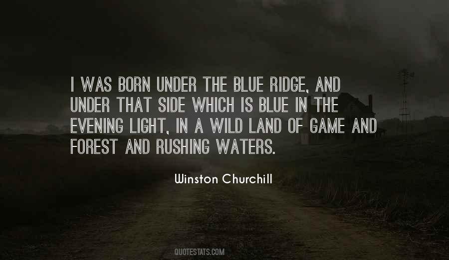 Quotes About Wild Side #886542
