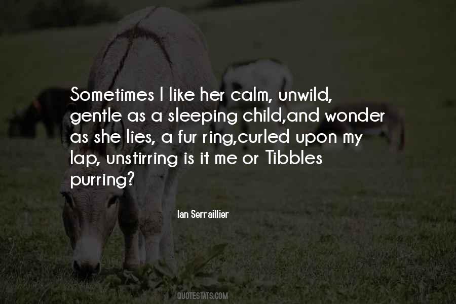 Quotes About A Child's Wonder #72600