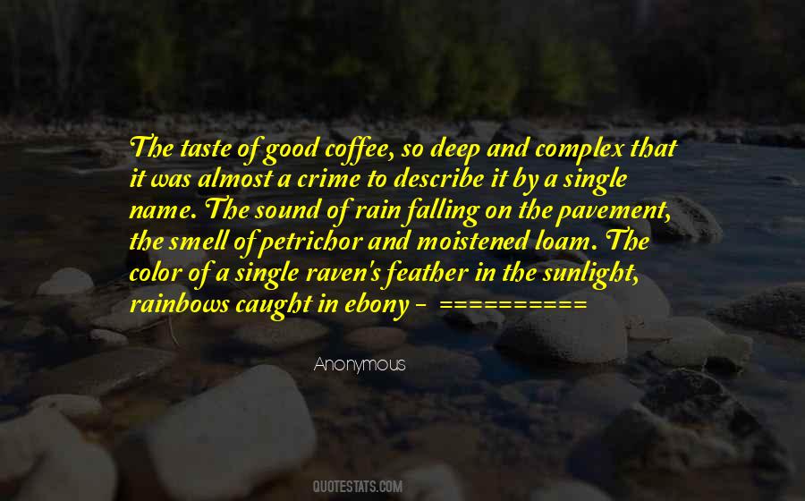 Noureddine Melikechi Quotes #1388217