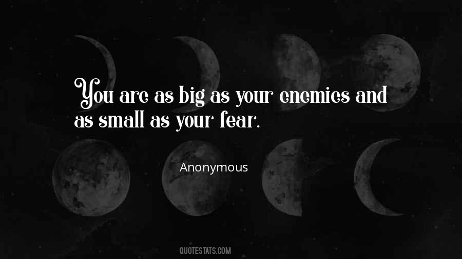 Quotes About Enemies #1761159