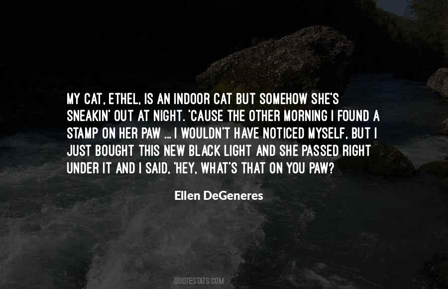 Quotes About A Black Cat #104224
