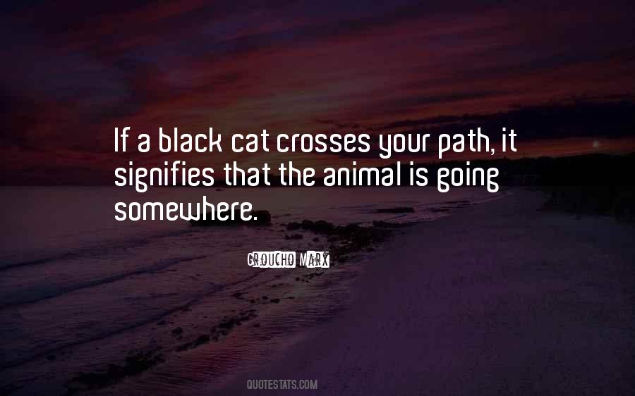 Quotes About A Black Cat #1519156