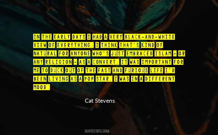 Quotes About A Black Cat #1805521