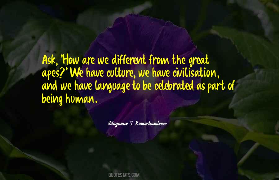 Quotes About Language And Culture #295584