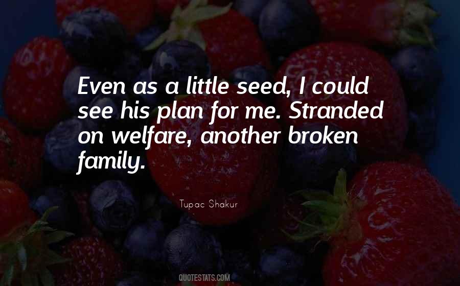 Quotes About Broken Family #106796