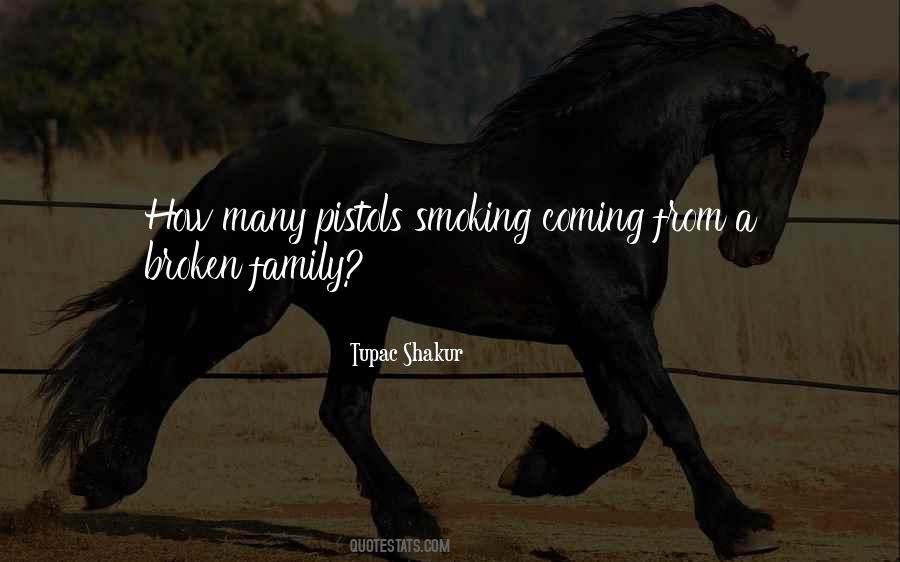 Quotes About Broken Family #1828642