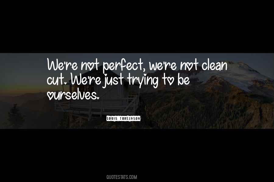 Quotes About Trying To Be Perfect #1527209