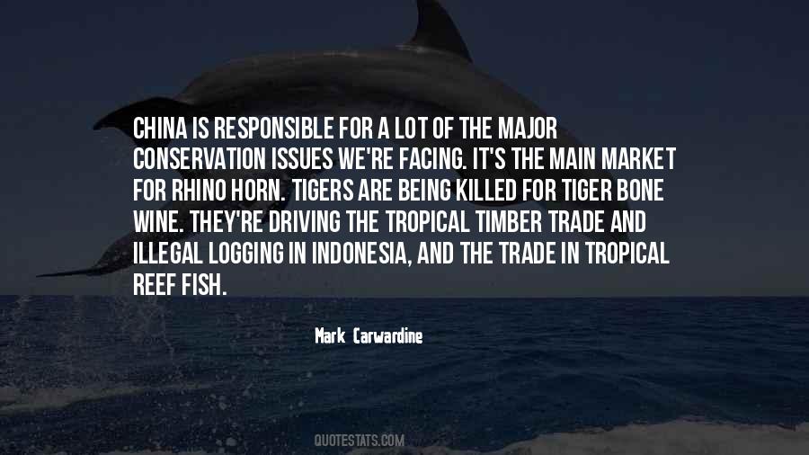 Quotes About Tropical Fish #905238