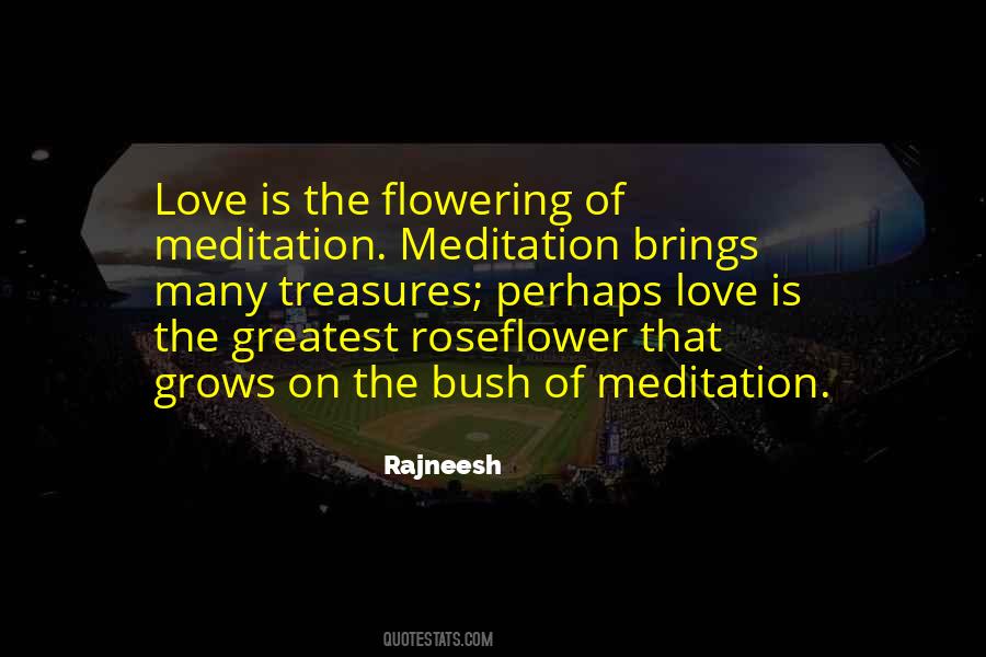 Meditation Meditation Quotes #1050960