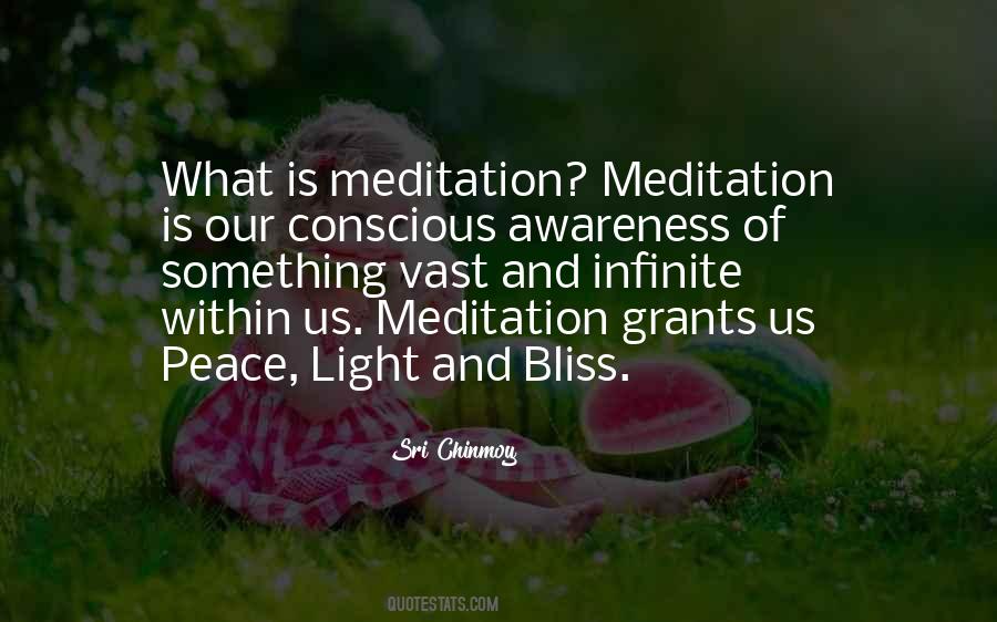 Meditation Meditation Quotes #11729
