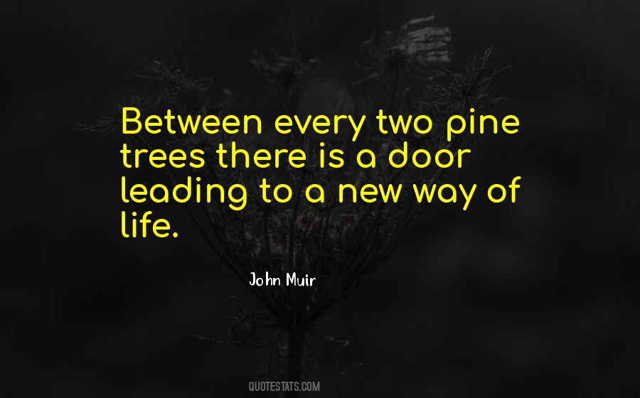 Quotes About New Way Of Life #559515