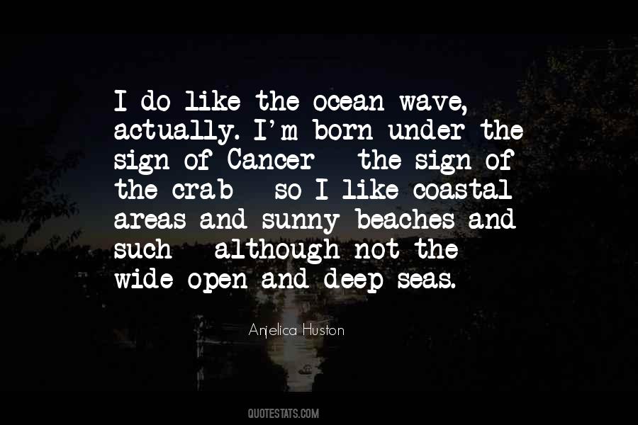 Like The Ocean Quotes #186421