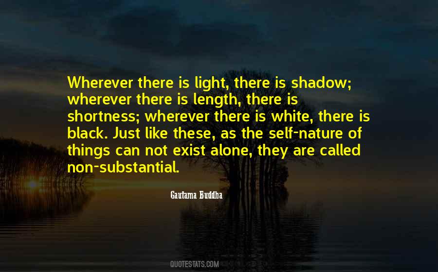 Quotes About The Shadow Self #238424