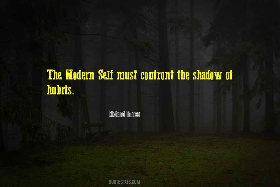 Quotes About The Shadow Self #573934