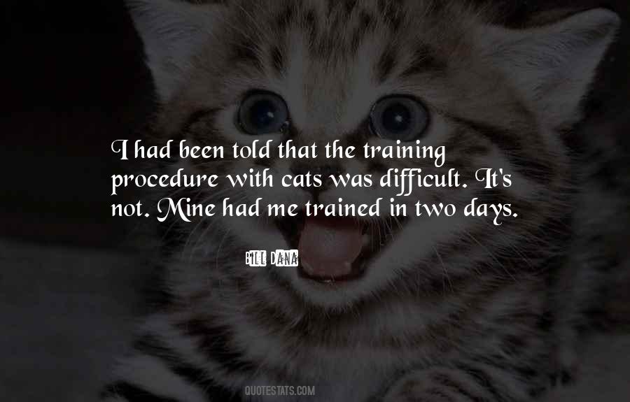 Website Design And Optimization Quotes #554155