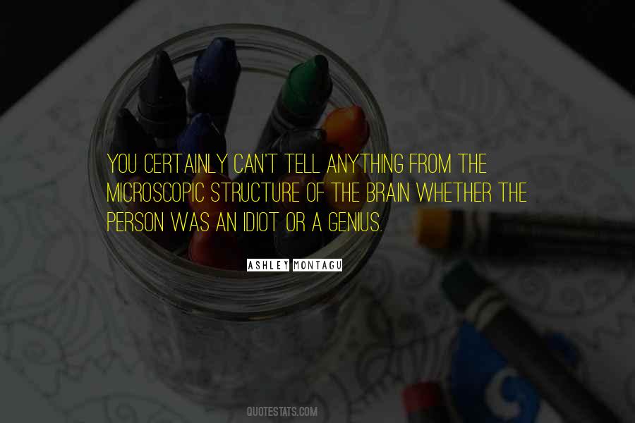 Quotes About Idiot Person #579986