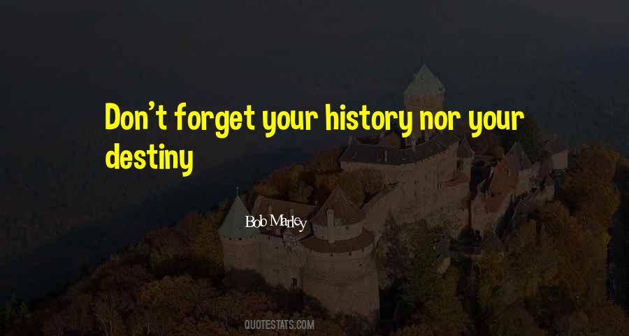 Your History Quotes #508768