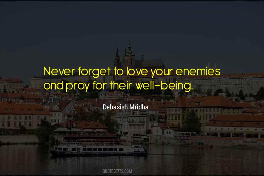 Quotes About Love Your Enemies #224963