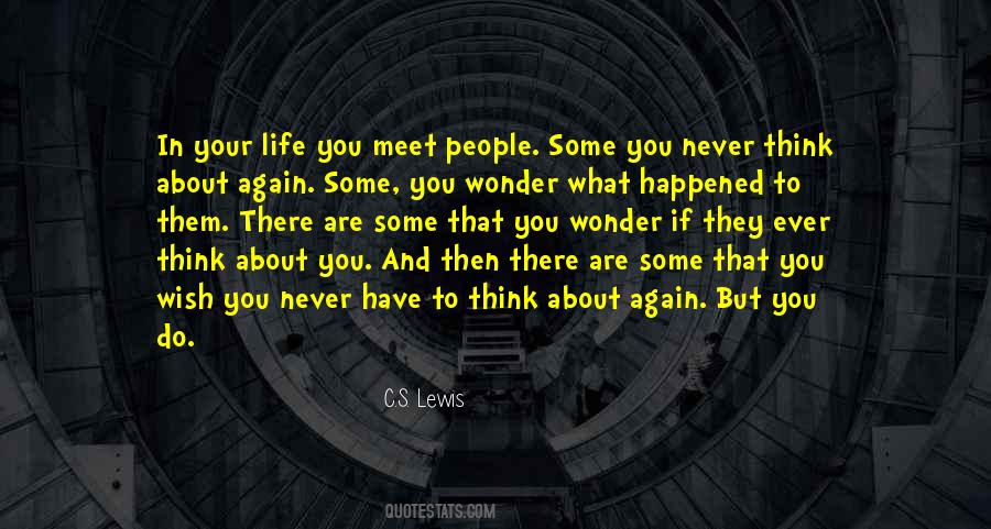 Will Never Meet Again Quotes #1723664